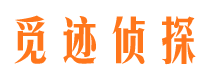 临渭侦探